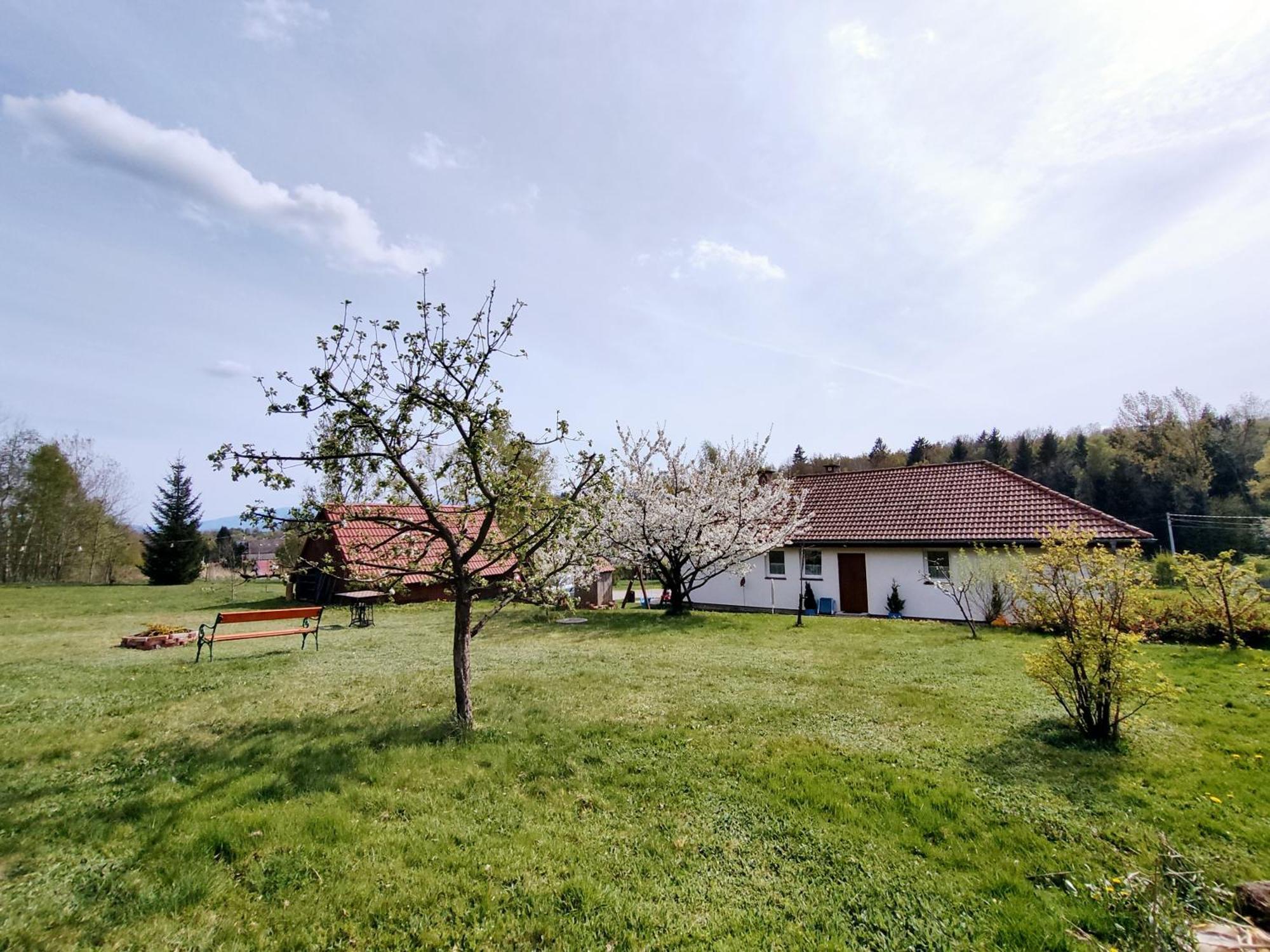 Apartament Izerskie Gaje Wojcieszyce Екстериор снимка
